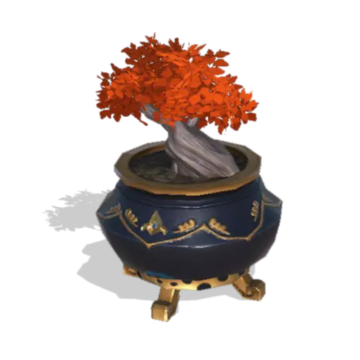 Potted Maple