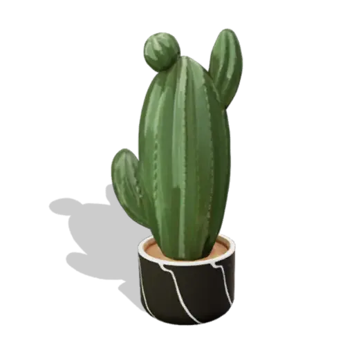 Desert Cactus Plant
