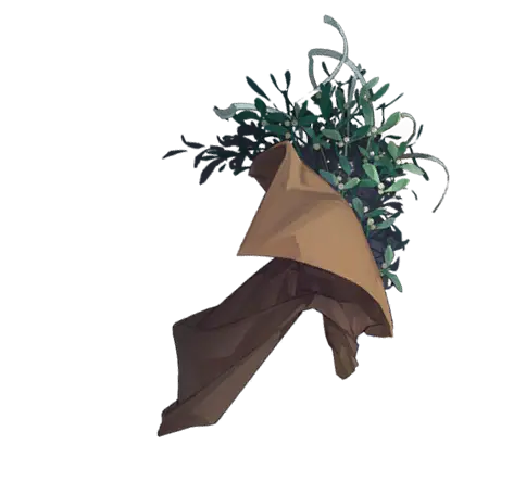 A Bouquet of Mistletoe